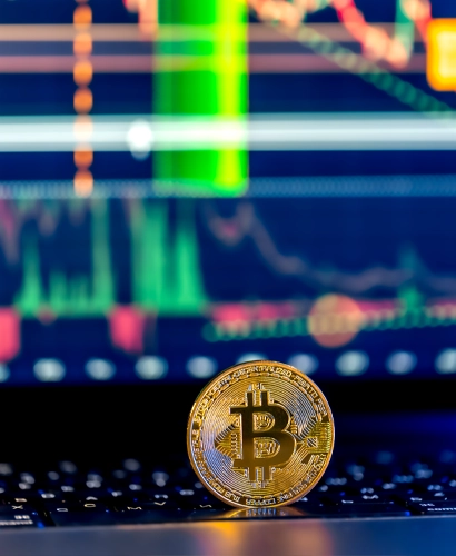 Team von Nexo Vadin bei der Marktanalyse